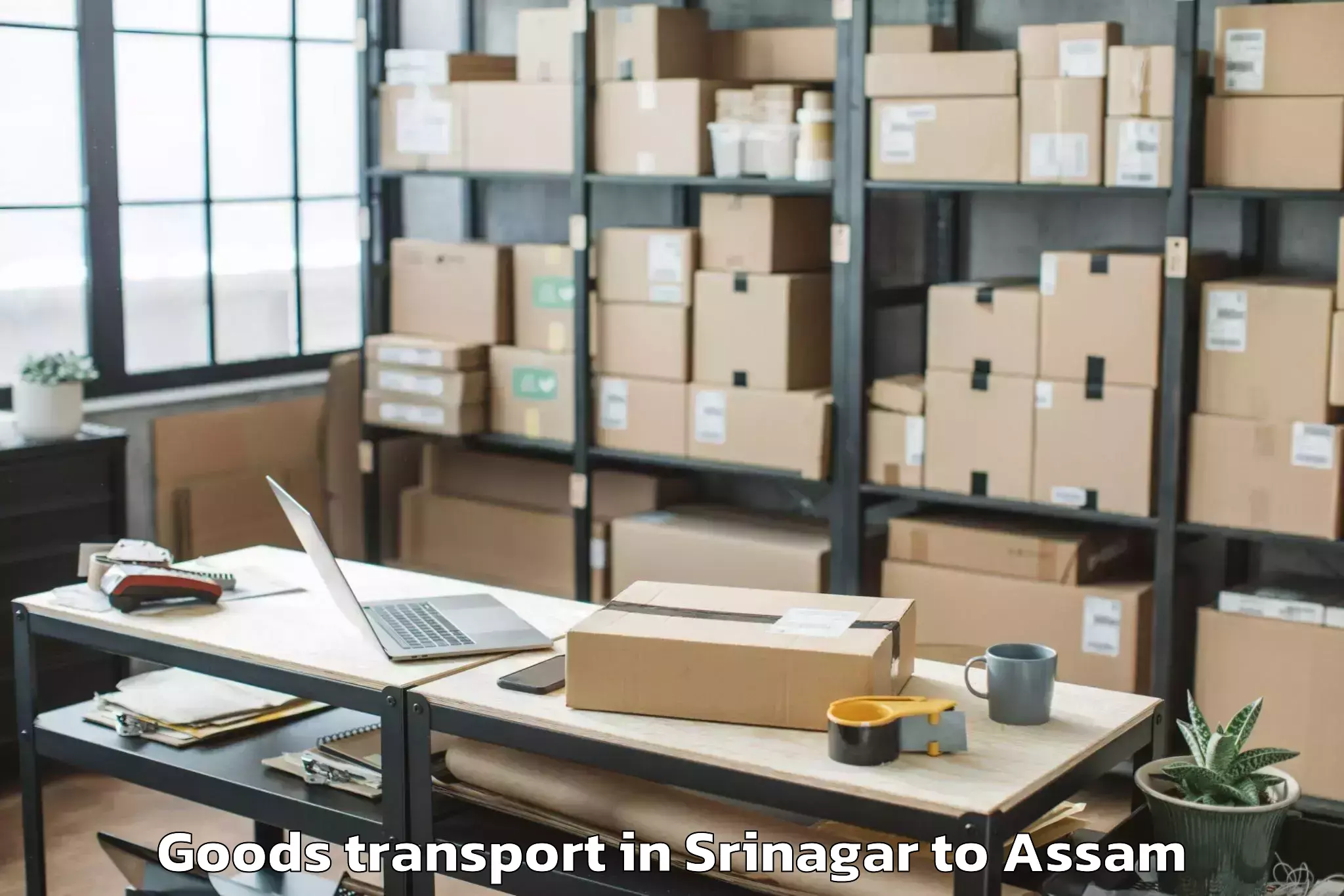 Top Srinagar to Jamuguri Goods Transport Available